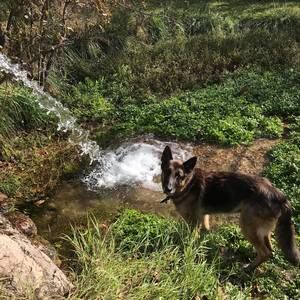 Meet your Posher, Miles